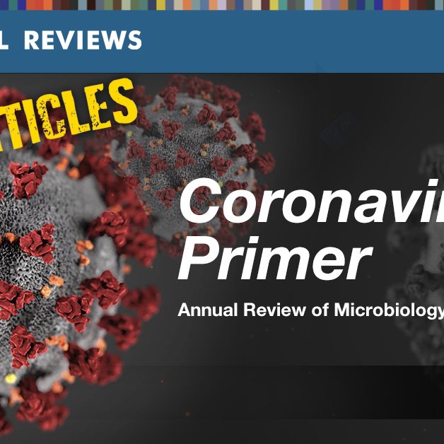 coronavirus primer featured image background