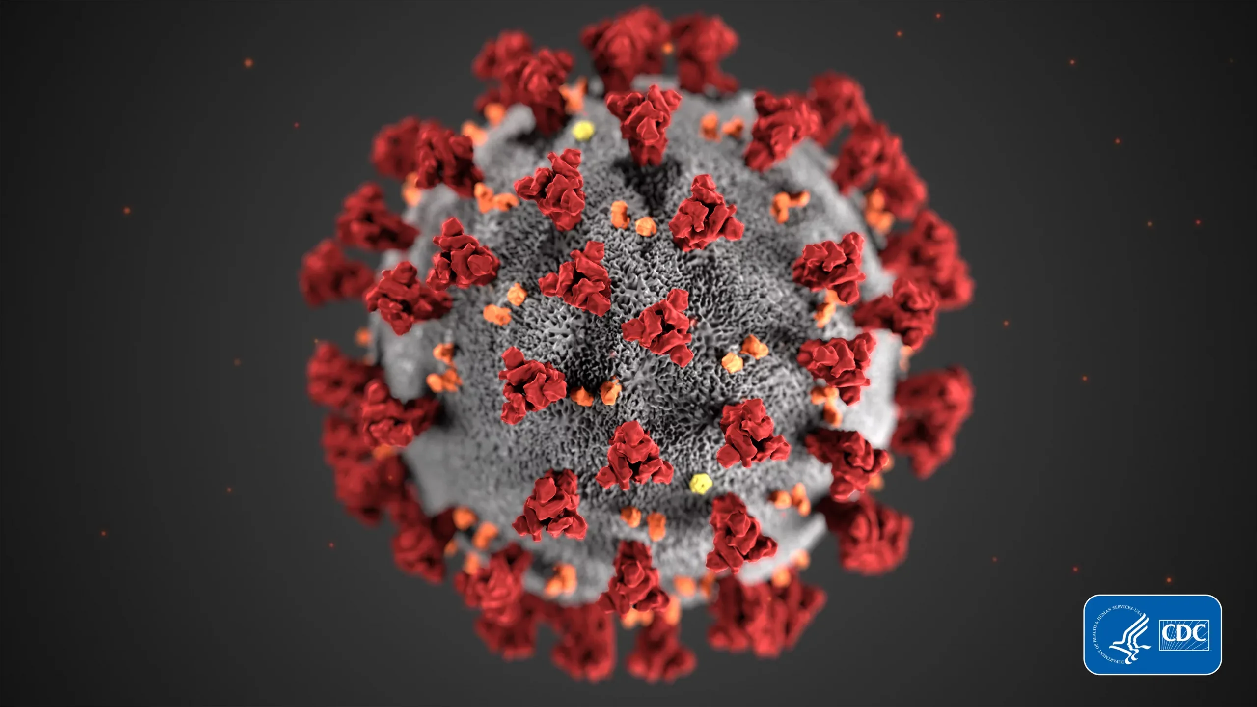 coronavirus-structure