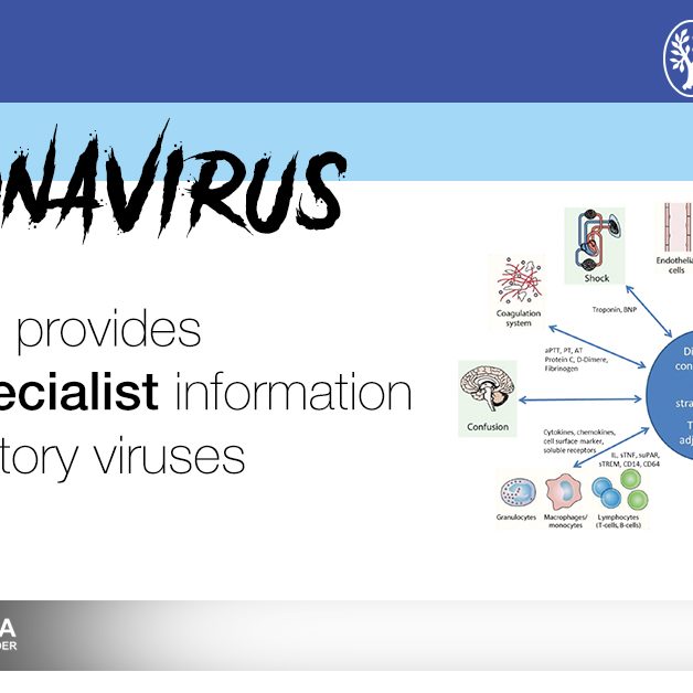 THIEME featured image