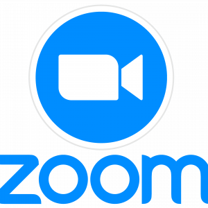 Zoom - BUSINESS