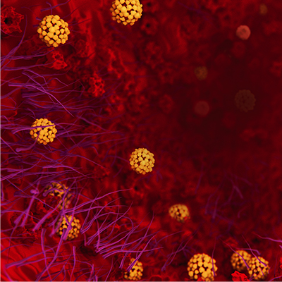 {b7291afa-7209-443e-89ab-d36b6e2d233a}_Coronavirus